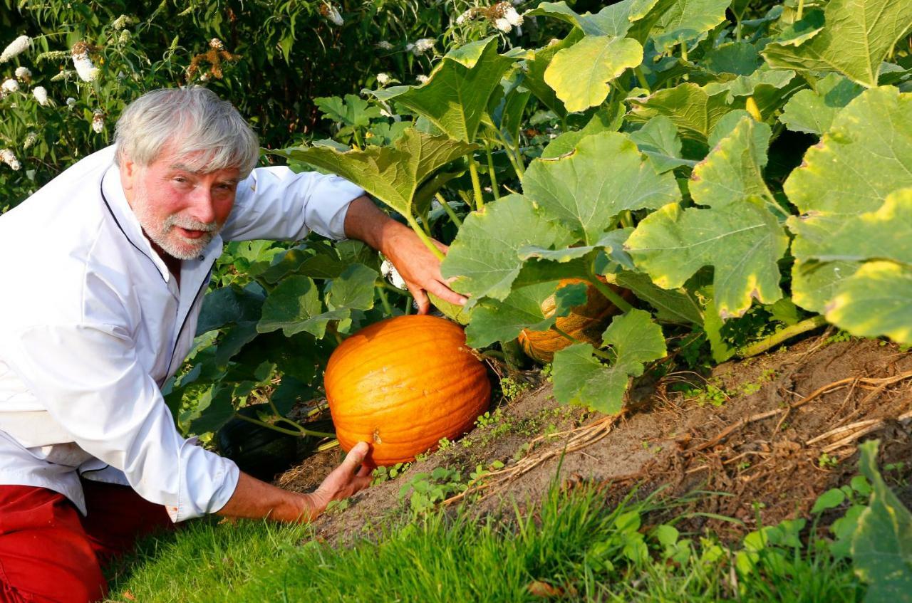 Het Ros Van Twente De Lutte Luaran gambar